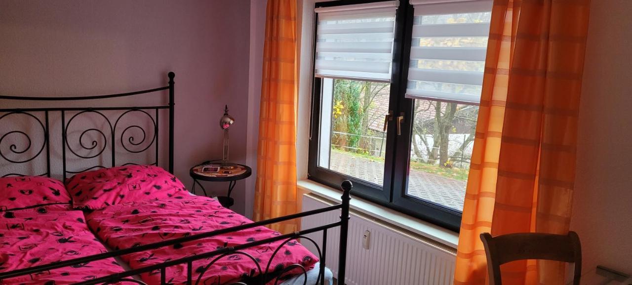 Fewo Harz Haennig 1 Wieda Εξωτερικό φωτογραφία