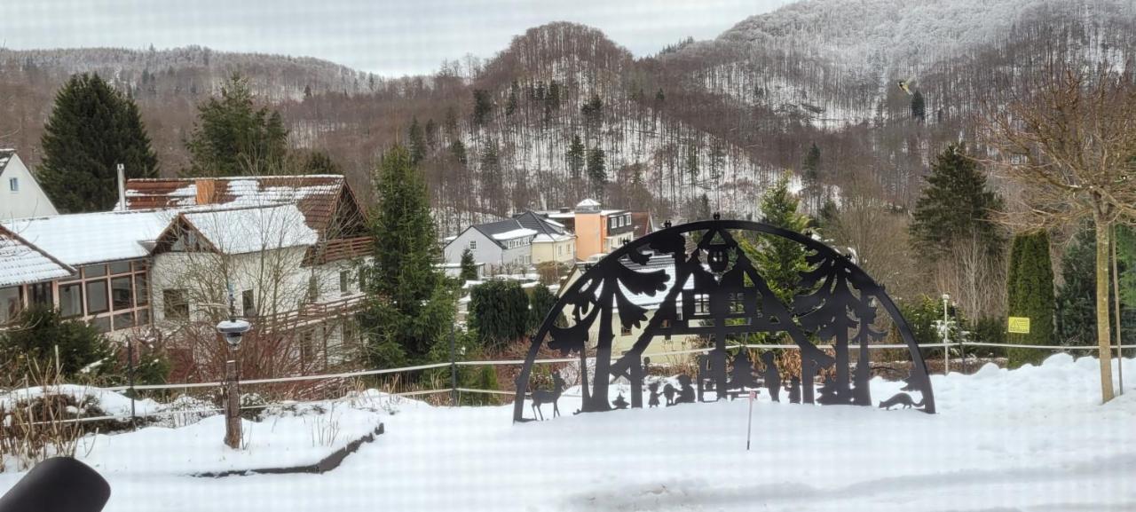 Fewo Harz Haennig 1 Wieda Εξωτερικό φωτογραφία