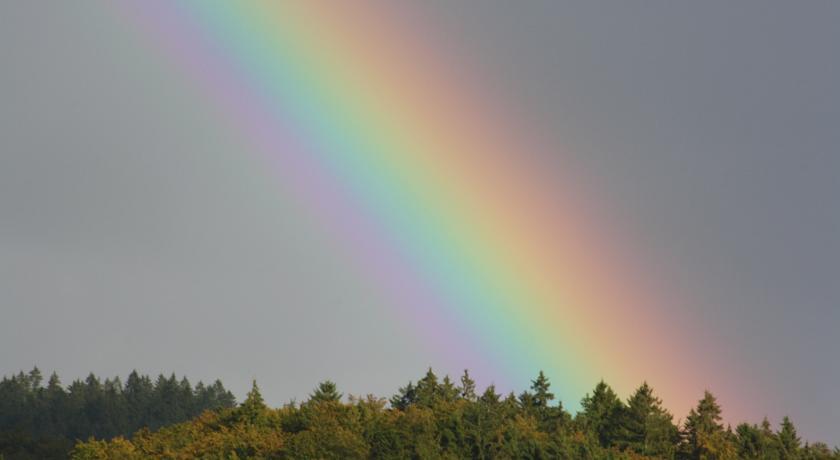 Fewo Harz Haennig 1 Wieda Δωμάτιο φωτογραφία