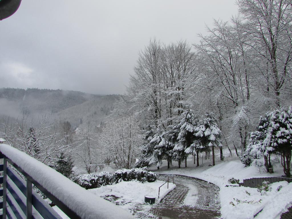 Fewo Harz Haennig 1 Wieda Εξωτερικό φωτογραφία