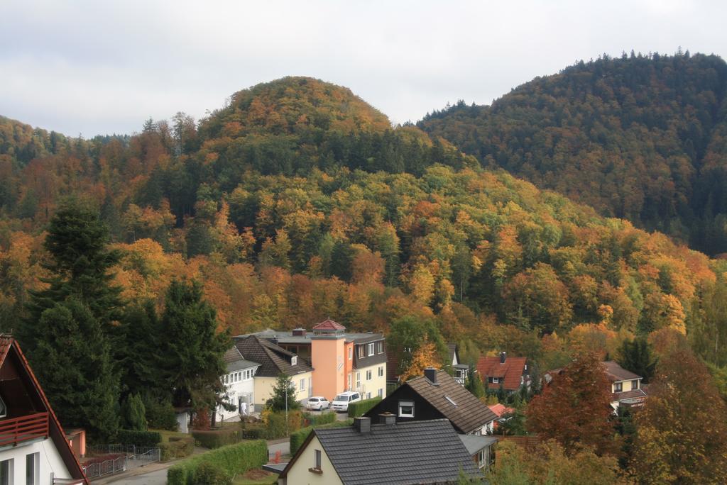 Fewo Harz Haennig 1 Wieda Εξωτερικό φωτογραφία